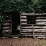 Old shed in the woods