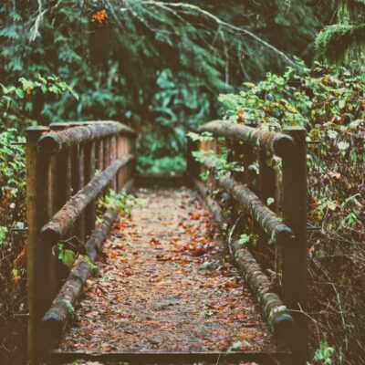 A bridge across a small creek